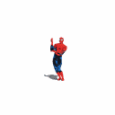 SPIDER